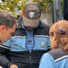 Gastón Cordobés 的头像