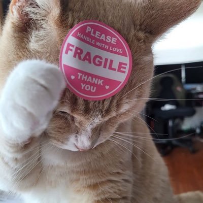𝗔𝗵𝗺𝗲𝗱 𝗔𝗹𝗸𝗵𝗼𝗹𝘆's profile picture