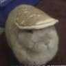 Cheese's profile picture
