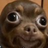 Profilbild von Yes Sr