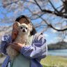 えみ's profile picture