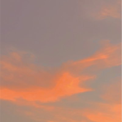 _oeil_rose's profile picture