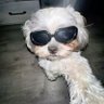 Profilbild von rey