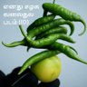 Profilbild von vsandhyay M
