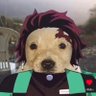 patient zero's profile picture