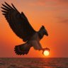 Фото профиля Eagle 🦅