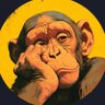 Sarcastic Memes's profile picture