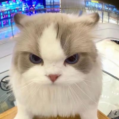 元's profile picture