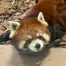 まめ浜's profile picture