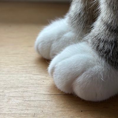 kkangb's profile picture
