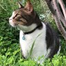 . profil fotoğrafı