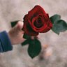 محمد's profile picture