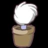 Profilbild von Haze Ustern