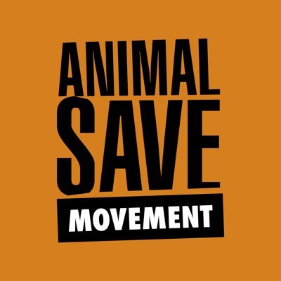 Animal Save Movement's profile picture
