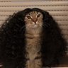 lsjoskssonsjw_crf 18's profile picture