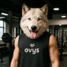 右からたかはすぃ(4倍速)'s profile picture