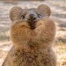 Ashley's profile picture