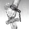 Fawaz Hamdan Alanazi's profile picture