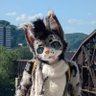 Фото профиля Disko | Megaplex