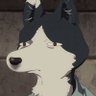 お布団で暮らしたい柴犬's profile picture