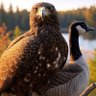 NatCan profil fotoğrafı