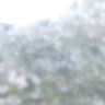 ₺ƾまʓ(🍛、💜🧸☪️)'s profile picture
