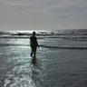 lineklo82's profile picture