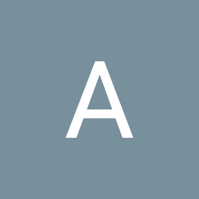 aasma45486's profile picture