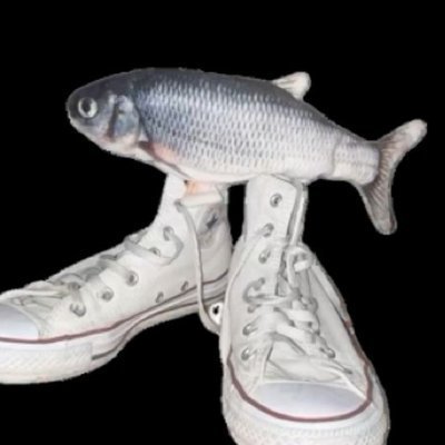 vonalt ⚓'s profile picture