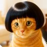 まる's profile picture