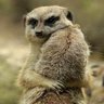 Profilbild von Mau