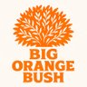 Big Orange Bush's profile picture