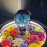 ちっくん［星詠み眷属］🦊🍓 profil fotoğrafı