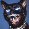Profilbild von Jay Lamar
