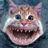 Profilbild von Prof (🇬🇧)