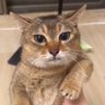 Secrym 的头像
