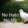 Profilbild von 鳩愛好家🕊️