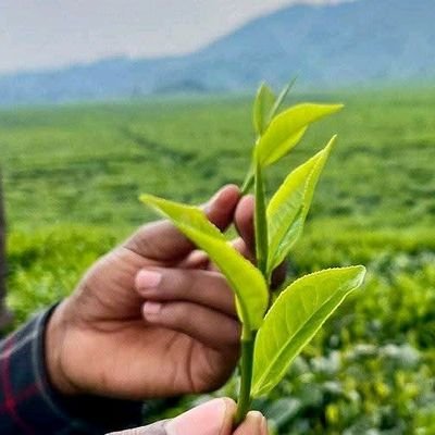 AGRICULTURE NOTES's profile picture