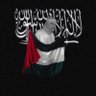 Voice of Tawhid's profile picture