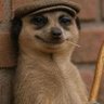 Thams's profile picture