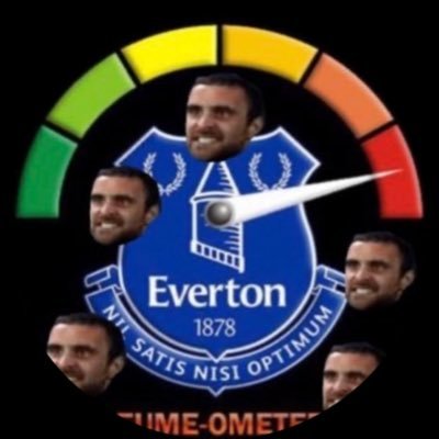 No Context Everton's profile picture