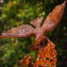 随缘 profil fotoğrafı