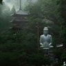 Profilbild von 铖锋润锦(橡树)