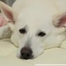 ツグちゃん's profile picture