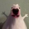 Franco (KingSlayer)'s profile picture