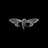 1.618's profile picture