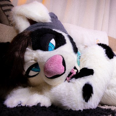 Dally Doggo's profile picture