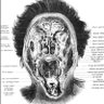vivisected circuit profil fotoğrafı