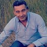 Ali's profile picture
