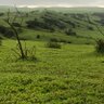 Фото профиля دعاس